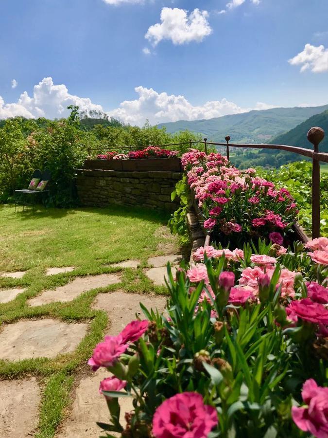 Agriturismo Biologico Castello Della Pieve Mercatello sul Metauro Zewnętrze zdjęcie